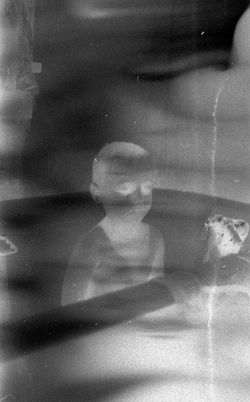 Paul Bundle 12 Roll 15 006.jpg