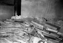 Paul Bundle 26 Roll 7 001.jpg