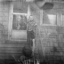 Paul Bundle 50 Roll 6 005