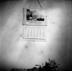 Paul Bundle 3 Roll 10 002