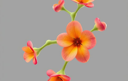 flowery abstract estrogen molecule.jpg