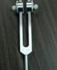 Adjustable Tuning Fork.jpg