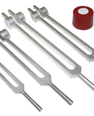 Ortho Tuning Fork Set.jpg