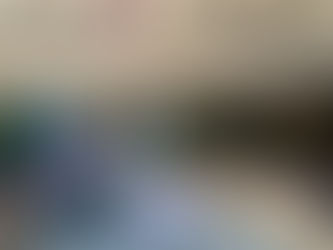 El abandono del privilegio, el camino hacia la representación