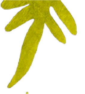 Asset 1_3x-8.png