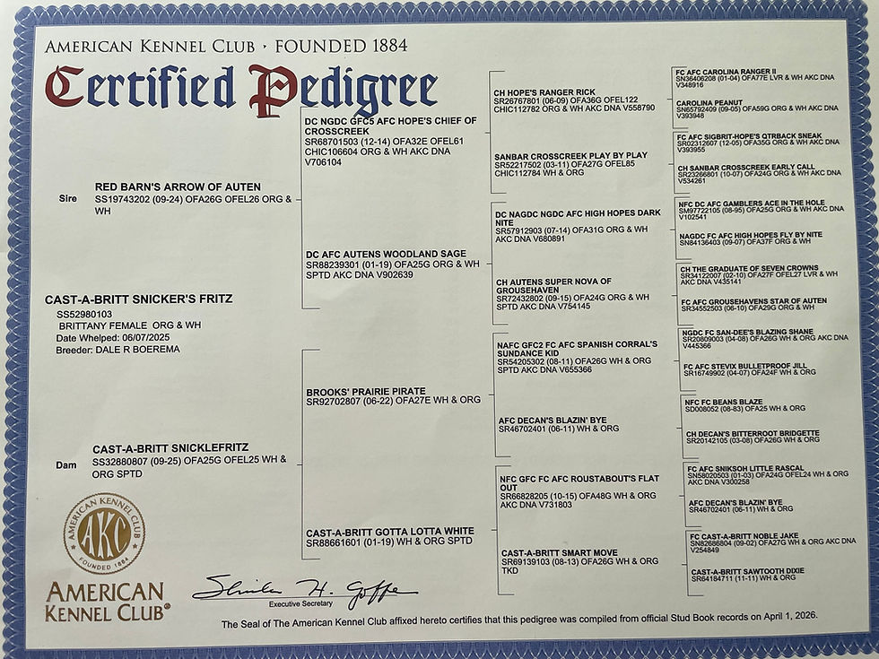 Fritzy's pedigree