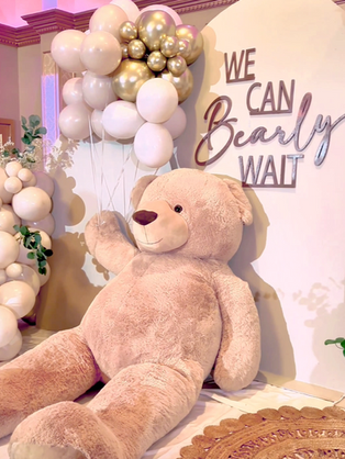 Ved's Baby Shower