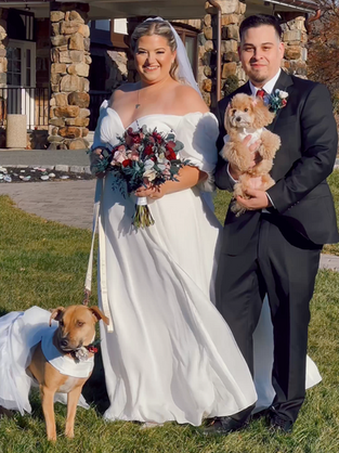 Kelsey + Steven's Wildest Dreams