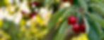 IMG_3571_edited.jpg