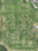 CornMaze2025.jpg