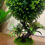 Thumbnail: Beautiful flower vase set , Hight 16”