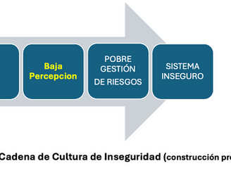 Un teatro de seguridad en el contexto sanitario