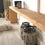 Miniature : Banc rustique I Epicéa