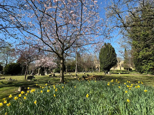 Holy Week, Easter, APCM, and April News