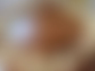 עוגת גבינה לוטוס