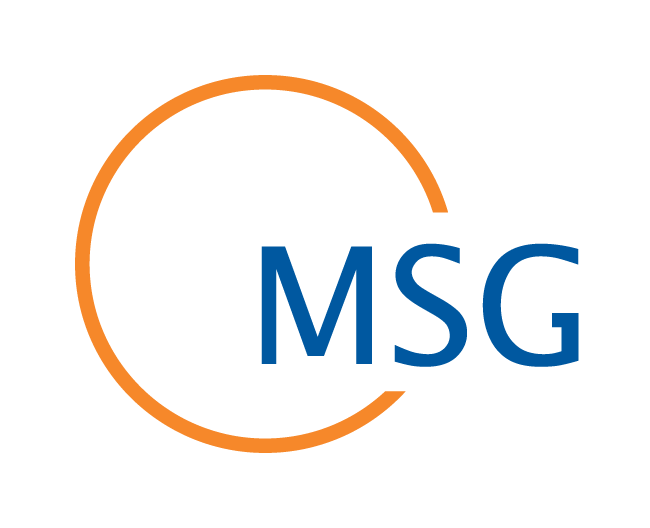 MSG smart logistics consulting services