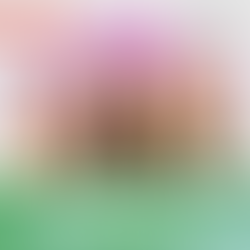 Психологічний практикум "Ефективні психологічні інстументи у роботі з тривогою"