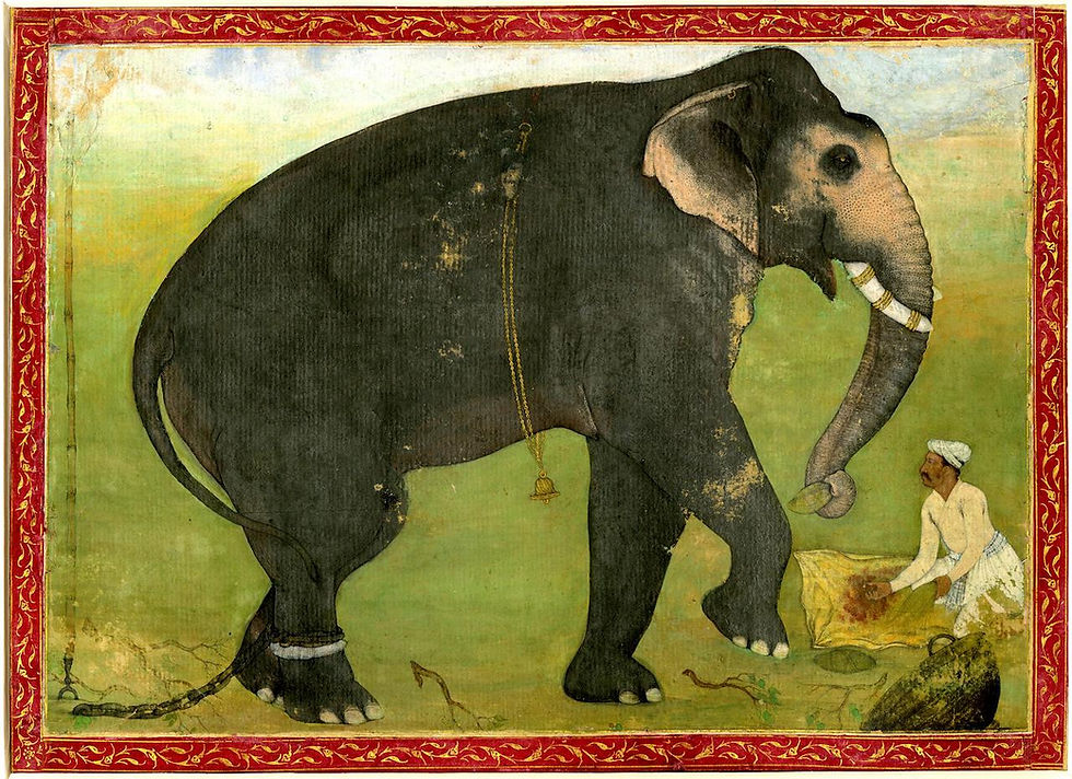 elephant