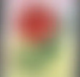 Damascene Roses in Herbal Medicine