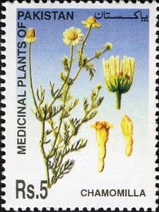 Pakistan Postage Stamp | Chamomile