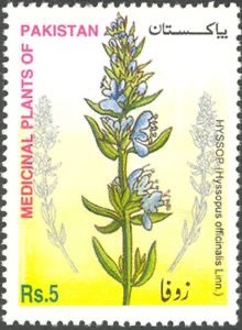 Pakistan Postage Stamp | Hyssop
