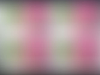 Medicinal Plants of Pakistan