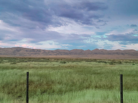 SOLD! - Central California