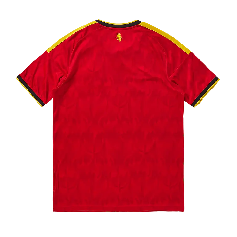 Thumbnail: Belgium 2026 World Cup Home