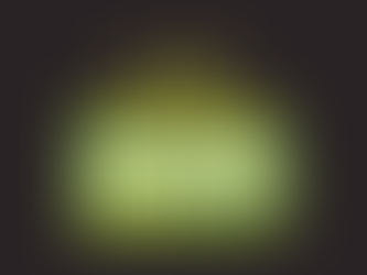 Wild Honey Sits Down with Pennsylvania Pipeline Music to Talk Music