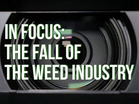 In Focus: The Fall of The Weed Industry