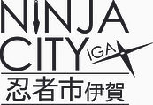ninjacitylogo.jpg