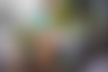 PRESSEFREIHEIT IN GEFAHR?