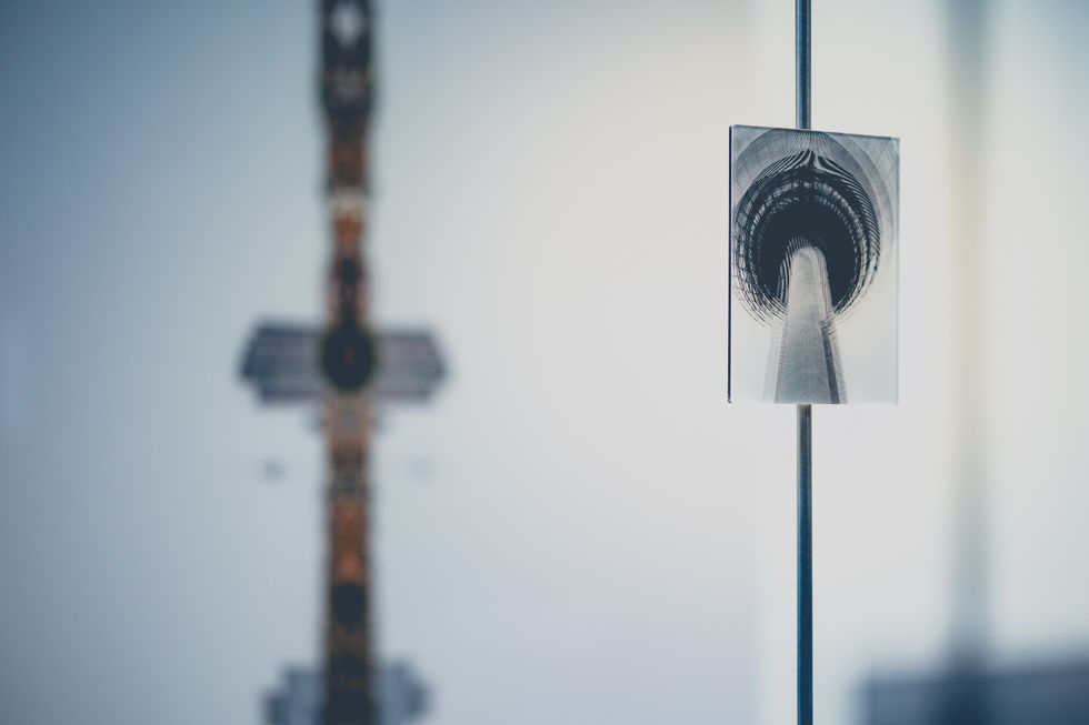 STAND DER DINGE | UMVERTEILT von Alexander Kästel | Ausstellung im Rosengarten 2023