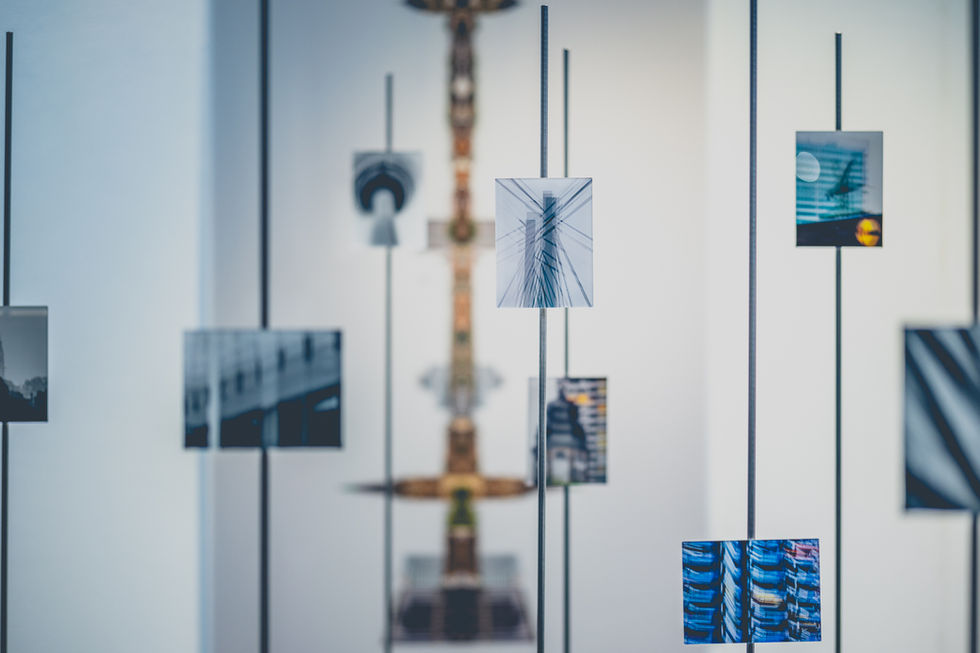 STAND DER DINGE | UMVERTEILT von Alexander Kästel | Ausstellung im Rosengarten 2023