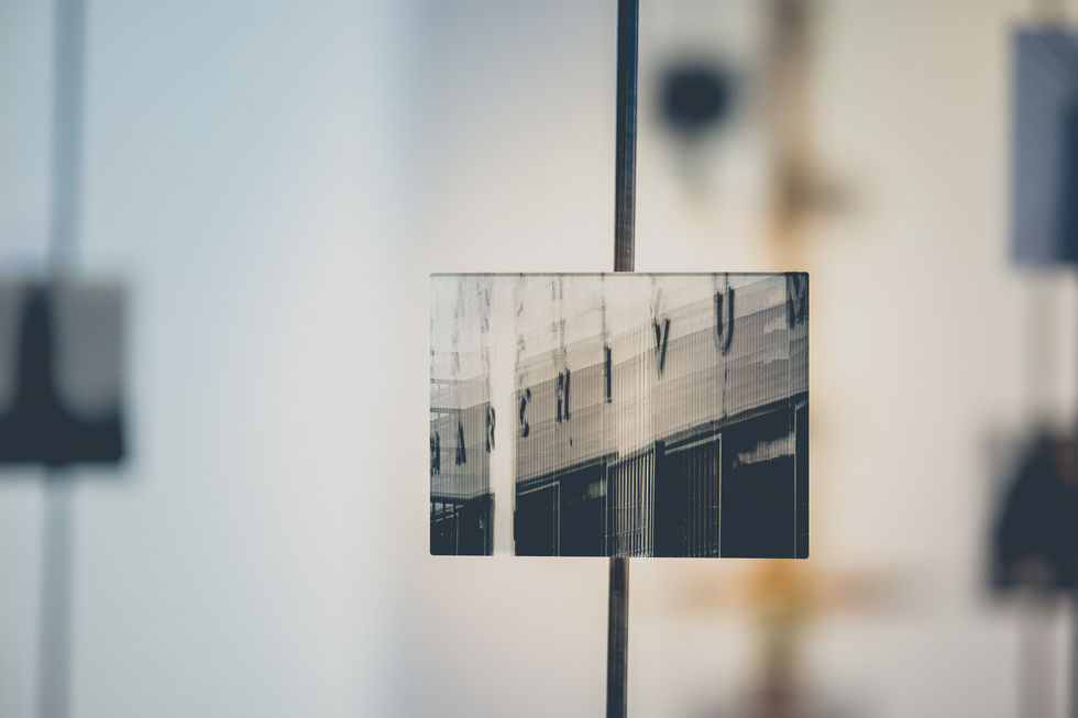 STAND DER DINGE | UMVERTEILT von Alexander Kästel | Ausstellung im Rosengarten 2023