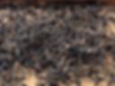 Y Tý Air Dried Black Spring 2026