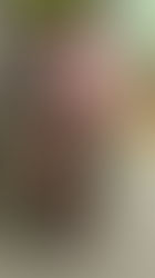 die ***piep** trockende Materie mal
als bunt verpackte Schatzkarte