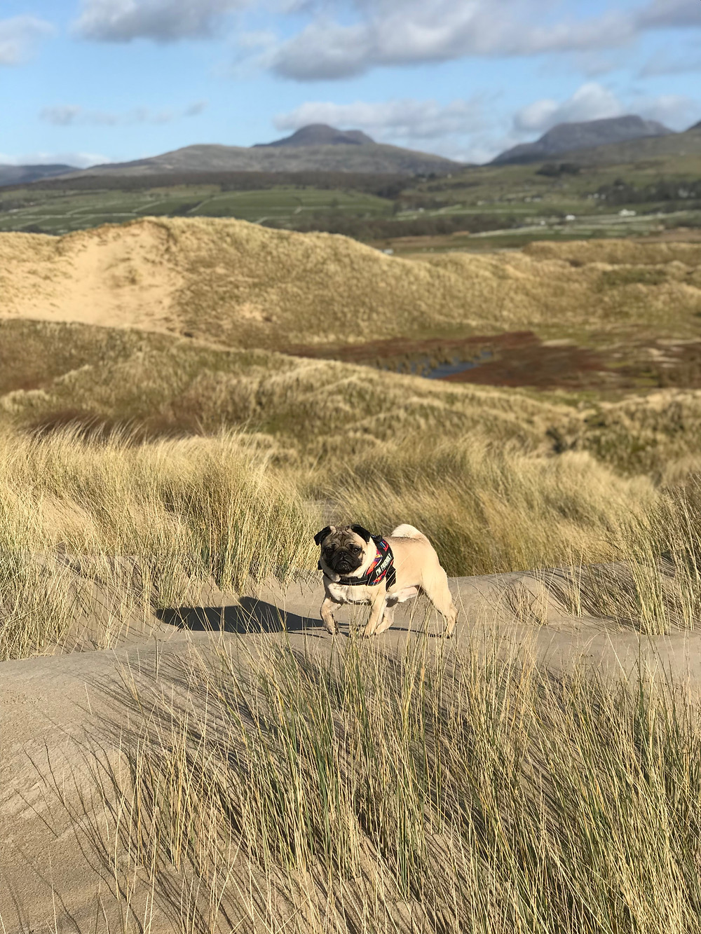 Harlech Beach, Wales