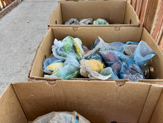 ST. MARTIN’S FOOD PANTRY REPORT - OCTOBER 11, 2026
