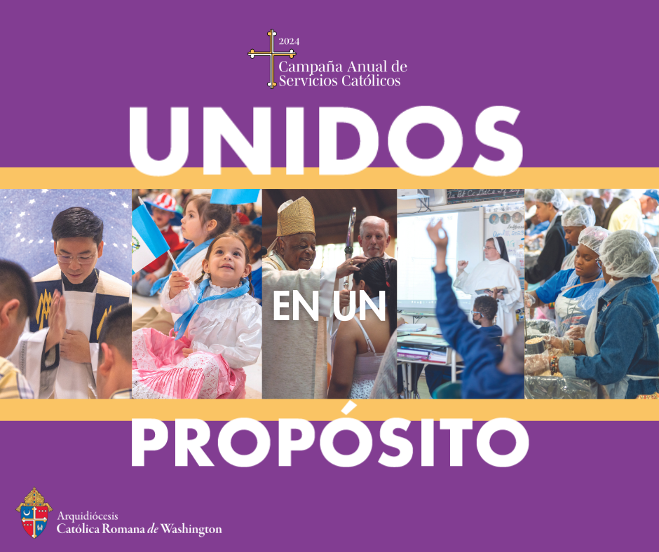 CAMPAÑA ANUAL DE SERVICIOS CATÓLICOS 2024