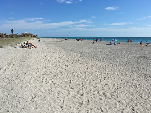 siestakey-beach.jpeg