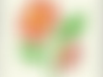 NEWS:9 Popup & Exhibition at Gramicci Harajuku Store 