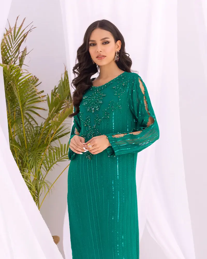 Pakistani Brand Ain's Green Embellished Chiffon Long Shirt Suit, Kurta Shalwar, Kurta Salwar