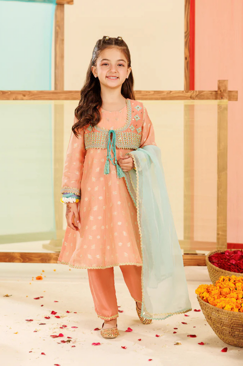 Bachaa Party Peach Jacquard Outfit