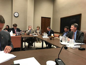 Public Health Committee passing out "Heart Beat" legislation.