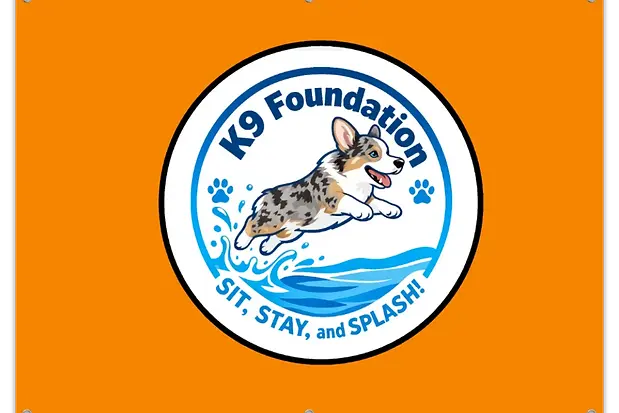 Splash logo.webp
