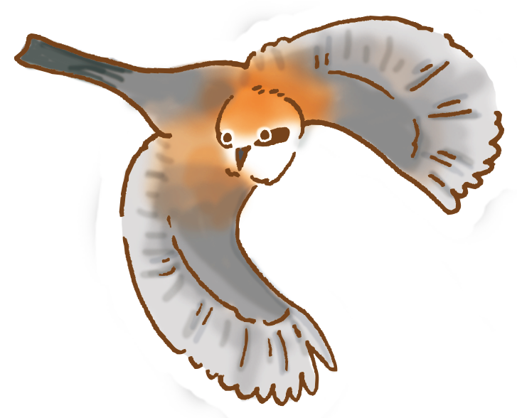 右向きのMOZキャラクター