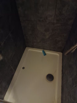 Shower - Before