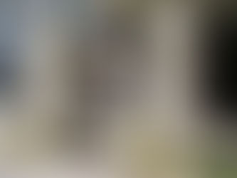 סינדרום ירושלים – האומנם?*