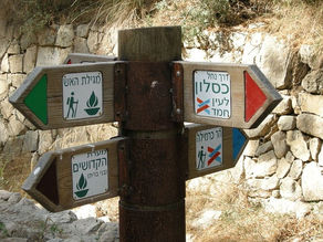 טעות לעולם חוזר*